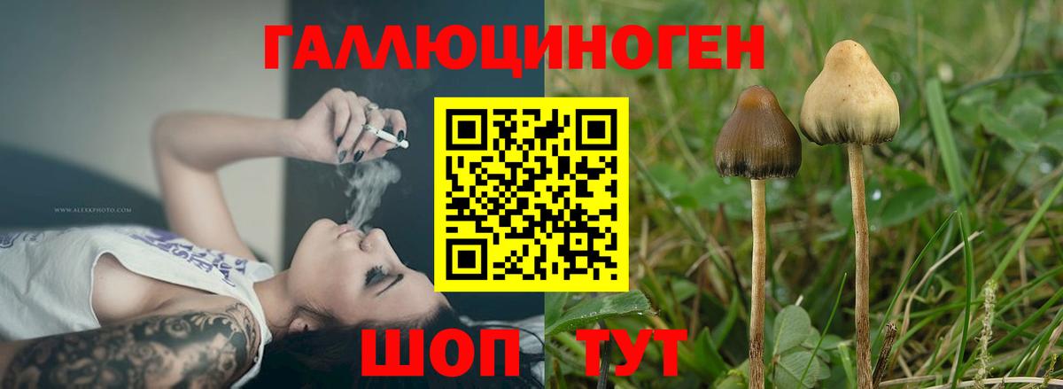 Псилоцибиновые грибы Psilocybine cubensis  Вход с VPN  Усинск  Псилоцибиновые грибы мицелий 